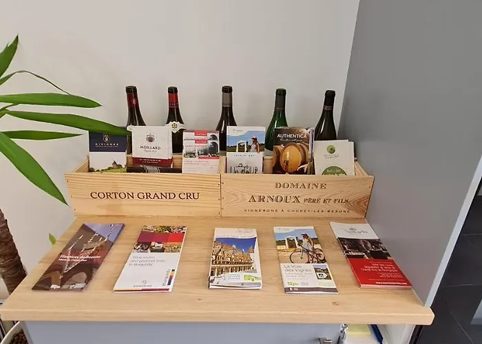 Chez Charles Centre-parking Prive-hospices-gare 公寓 博讷